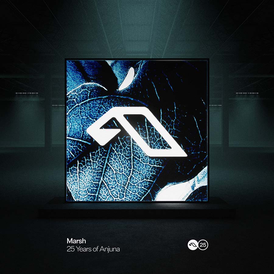 Anjuna25 - 25 Years Of Anjuna: Volume 22